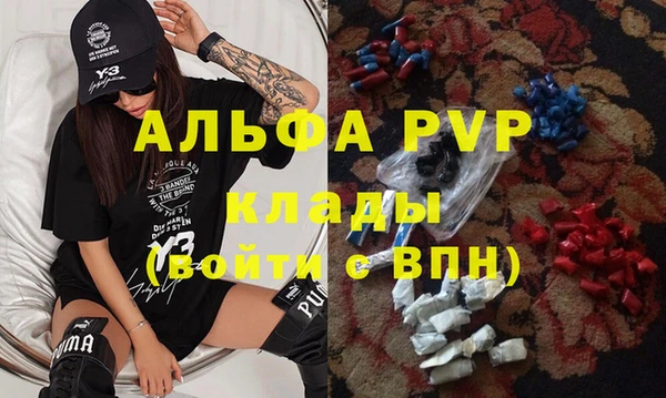 прущие грибы Абаза