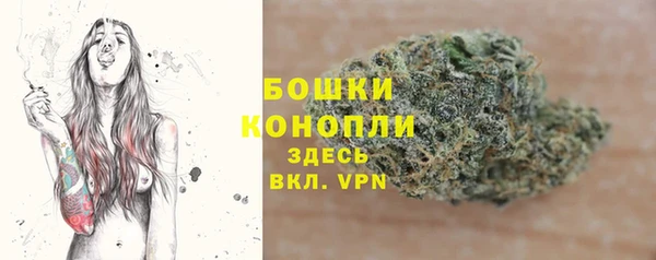 молекула духа Нефтекумск