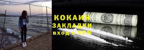 прущие грибы Абаза