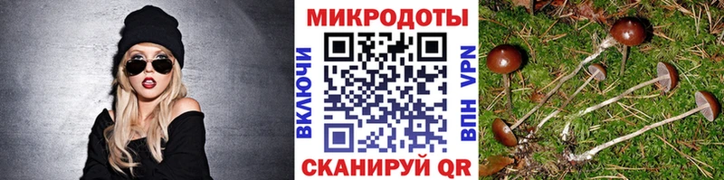 Галлюциногенные грибы Cubensis Уварово